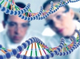 Ученые: 66% онкологических заболевания происходят из-за неправильного деления ДНК