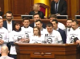 Депутаты устроили флешмоб в поддержку украинца, заключенного в Египте