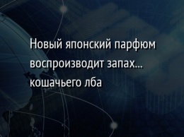 Новый японский парфюм воспроизводит запах... кошачьего лба