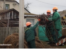 Во Львовской области энергетики помогают аистам строить гнезда