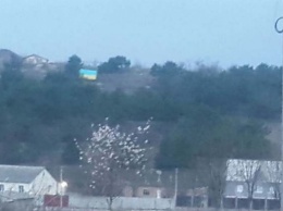 Патриоты разместили в оккупированном Крыму украинскую символику (ФОТО)