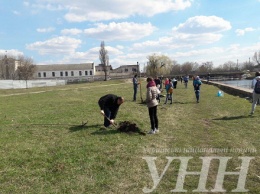 На территории набережной в Кропивницком горожане высадили клены