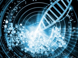 Циркулярная РНК пригодна для кодирования белков - Ученые