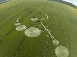 Ученые: Загадочные круги на полях являются посланием инопланетян