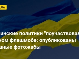 Украинские политики "поучаствовали" в модном флешмобе: опубликованы смешные фотожабы