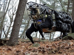 Двуногий робот Boston Dynamics прошелся по лесу (ВИДЕО)
