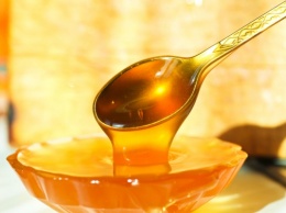 МинАПК: Экспорт меда за последние полгода вырос на 20%