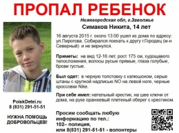 В Нижегородской области разыскивают пропавшего 14-летнего Никиту Симакова