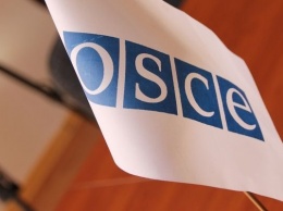 Наблюдатели из ОБСЕ сообщают о жертвах среди мирных жителей Донбасса