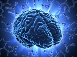 Ученым удалось вырастить копию человеческого мозга