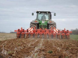 В Украине засеяли ранними зерновыми 35% площадей
