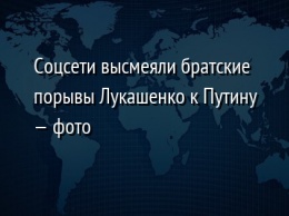 Соцсети высмеяли братские порывы Лукашенко к Путину - фото