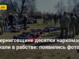 На Черниговщине десятки наркоманов держали в рабстве: появились фото