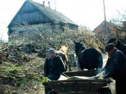 В Житомирской области лошадь стала виновной в смерти ребенка