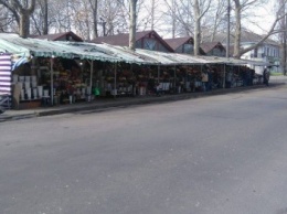 Патрульные обеспокоены парковкой возле цветочного рынка на Спасской