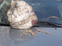 В Киеве неправильно припаркованную машину "похоронили" под мусором