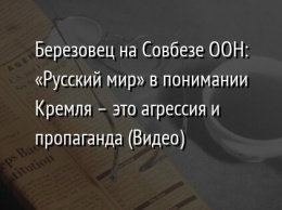 Березовец на Совбезе ООН: «Русский мир» в понимании Кремля - это агрессия и пропаганда (Видео)