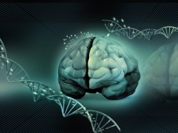 Разработанный новый метод генной терапии с использованием вирусов поможет победить болезнь Альцгеймера - Ученые