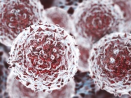 Ученые: Человеку впервые успешно вживлены запрограммированные стволовые клетки