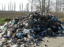 Львовской мусор свалили прямо посреди дороги в Киевской области
