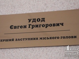 Депутаты Кривого Рога устроили разбор «полета» Удода