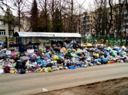 Львовские врачи просят руководство страны помочь с освобождением города от мусора