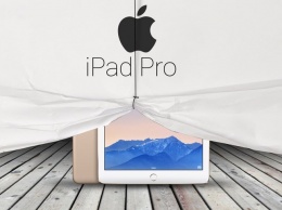 Продолжают падать продажи iPad (ФОТО)