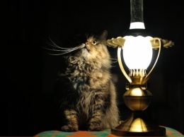 И лампа не горит: завтра пять районов Днепра останутся без света