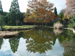 Парк "Монтедор" в Никитском ботаническом саду откроют до сентября - Плугатарь
