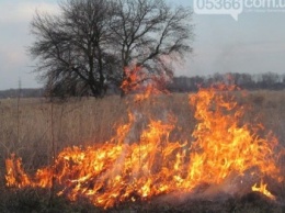 Как спастись от лесного пожара и как избежать опасности провалиться в горящий торф