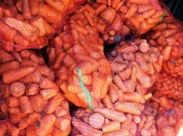 В Новой Каховке малообеспеченным раздали 24 тонны моркови