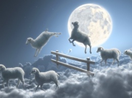 Откуда пошла традиция считать овец перед сном