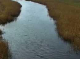 В сети появилось видео Молочной реки, какой мы ее никогда еще не видели (видео)