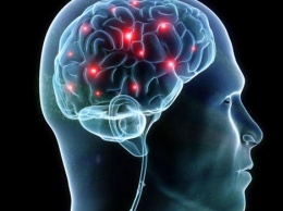 Ученые рассказали о необходимости гематоэнцефалического барьера в головном мозге