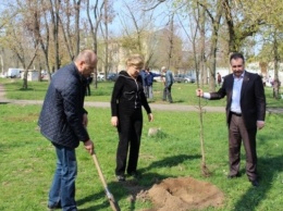 В Херсоне учителя садили деревья