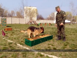 В воинской части Павлограда определили лучших среди кинологов и их служебных собак