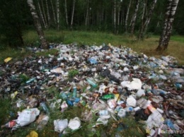 Из-за хитроумных мусорщиков свалки Симферополя превращаются в стихийные свалки Крыма