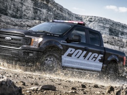 Новые Ford F-150 и Expedition примерили полицейскую форму