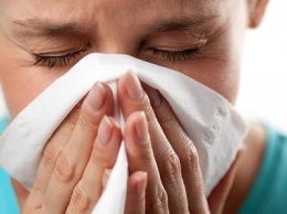 Специалисты рассказали, как не спутать аллергию с обычной простудой
