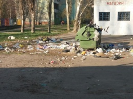 Херсонские мачочки жалуются на завалы мусора возле детсадов