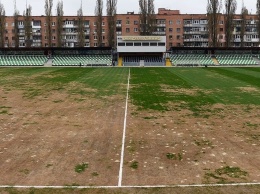 Желтая трава, как жертва украинскому футболу