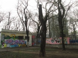 В центре Одессы чиновники уничтожают зеленую зону (ФОТО)