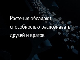 Растения обладают способностью распознавать друзей и врагов