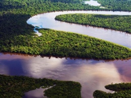 Ученые "состарили" Амазонку на восемь миллионов лет