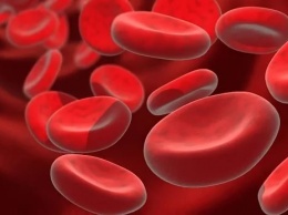 Ученые рассказали, как у человека формируются клетки крови