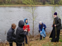 В Павлограде на набережной высадили вербу