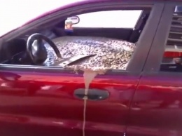 На России разгневанный муж залил бетоном машину жены. ВИДЕО