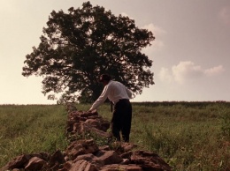 200-летнего дуба из фильма "Побег из Шоушенка" больше не существует
