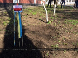 В память о погибших АТОвцах в школах Павлограда высаживали деревья (ФОТО и ВИДЕО)
