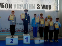 Юные одесские спортсмены достойно выступили на Кубке Украины по ушу
